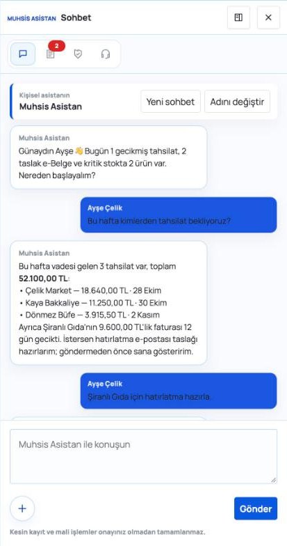 Muhsis Asistan sohbeti: bu haftanın tahsilatları (örnek verilerle)